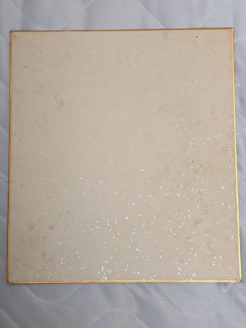 里中満智子 直筆カラー色紙「 姫がいく！ 」