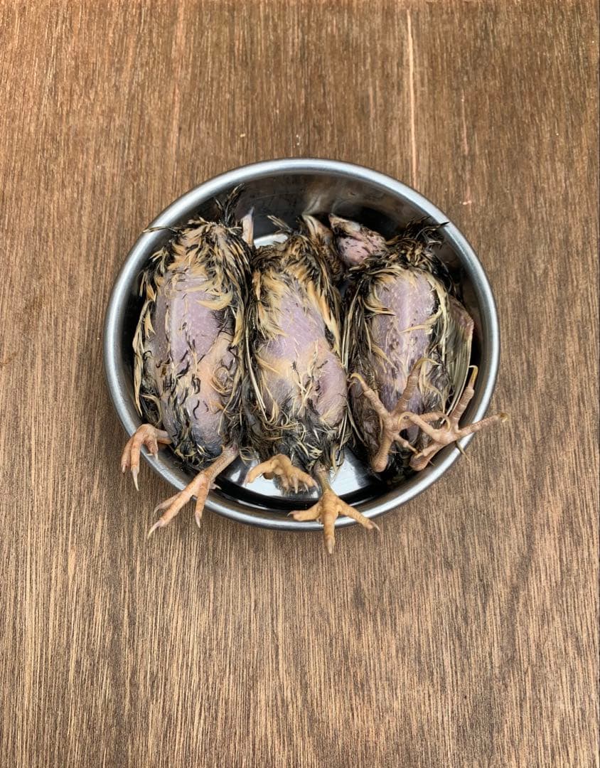 冷凍うずら（10羽）【送料込】 - メルカリ