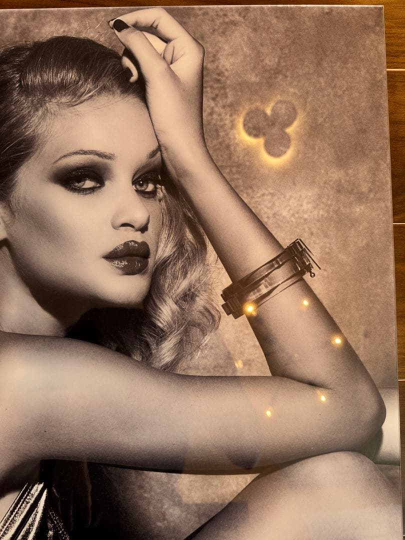 美品】フォトグラフィアート、IV SKAYA ELENA、4/500