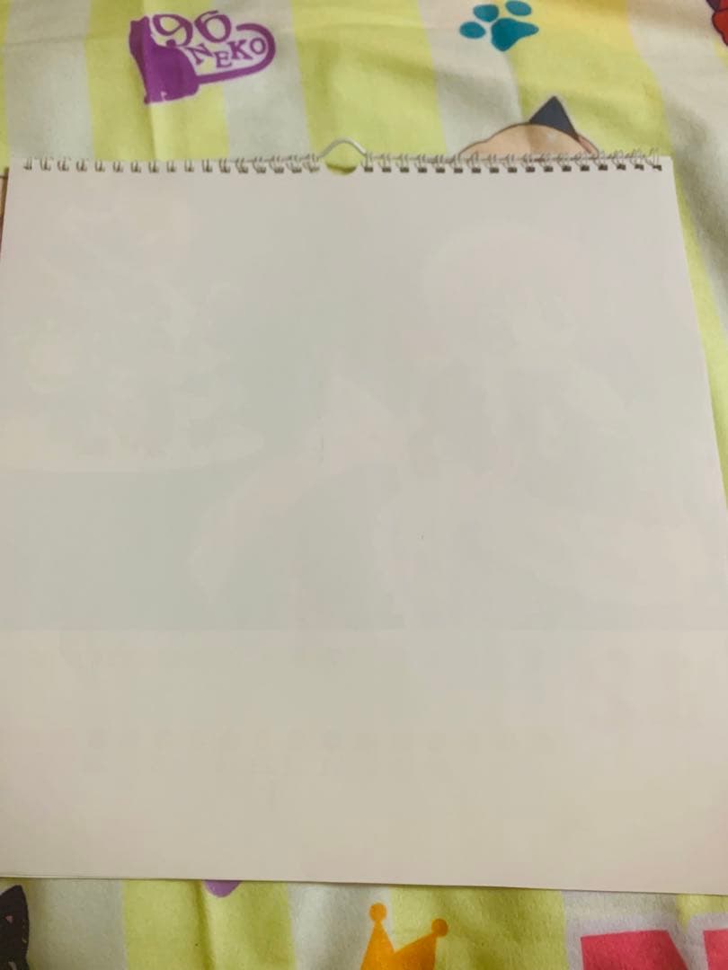 東京ミュウミュウ 2003年度カレンダー イラスト　13枚組　年代物