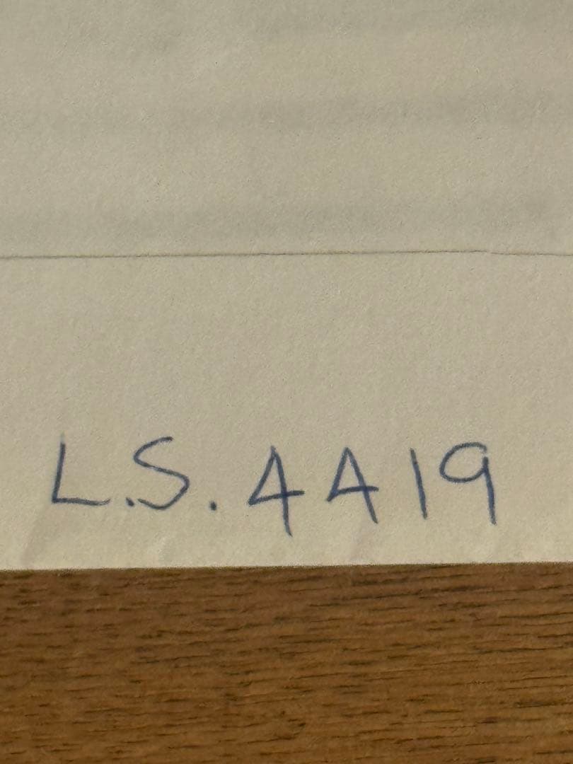 ICONS Skywalker Lightsaber サイン入 大幅値引き