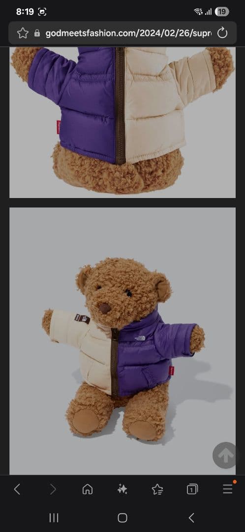 The North Face・Supreme ぬいぐるみ ダウンジャケット