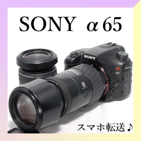 ✨SONY α65✨ダブルレンズ✨初心者おすすめ✨高速連射✨超高画質✨一眼
