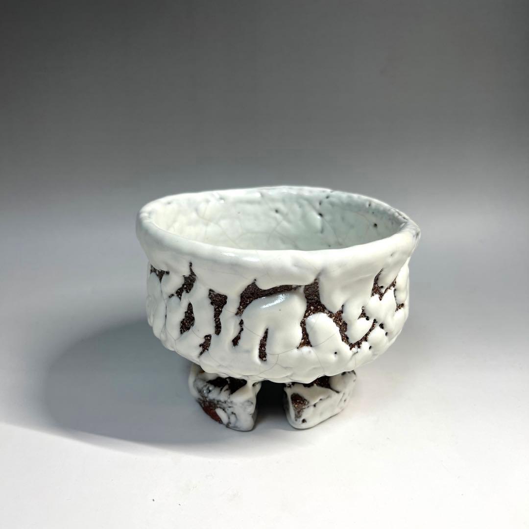 ナガクロガネダカラ【貝殻・タカラガイ】