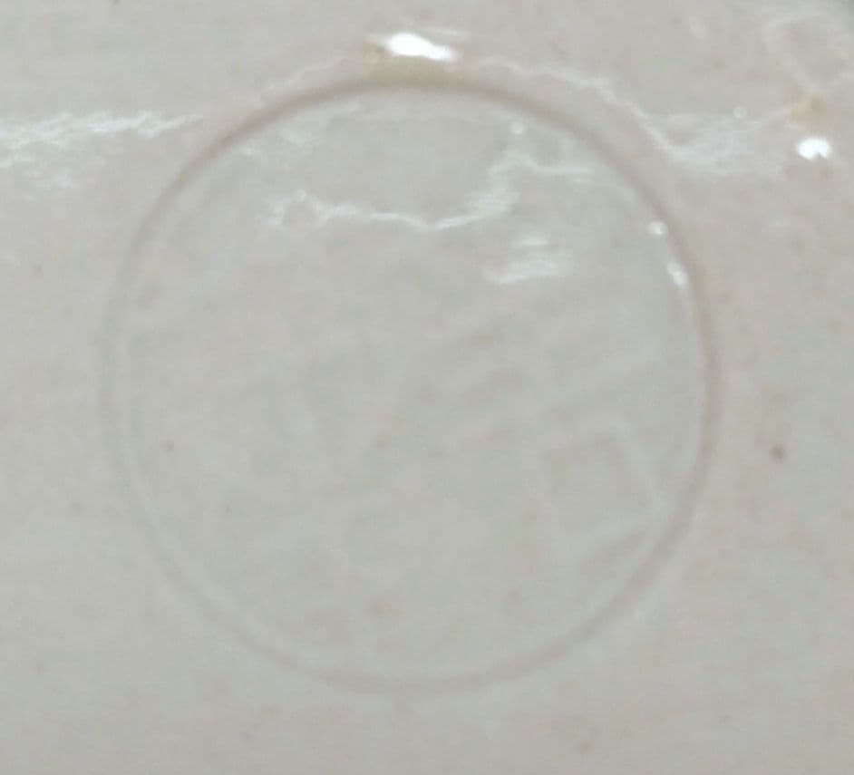 ☆ 須田菁華 九谷焼 赤絵皿