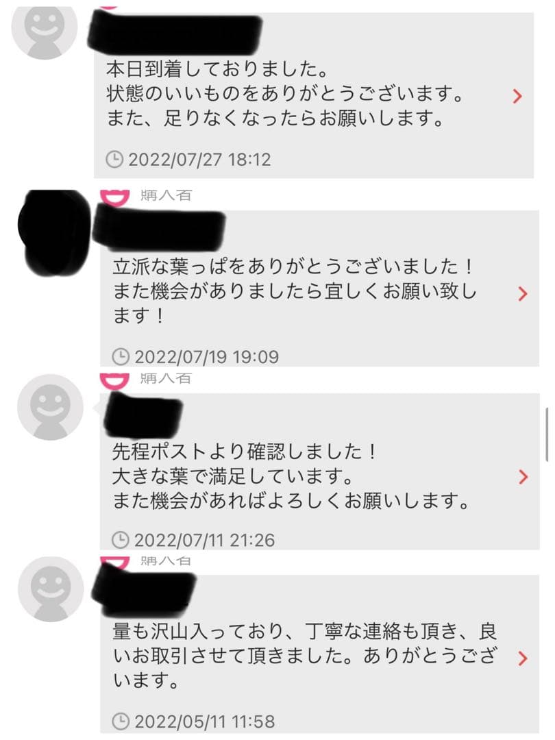 沖縄県やんばる産マジックリーフ 1kg UV殺菌灯照射済み⑤ 殺菌灯