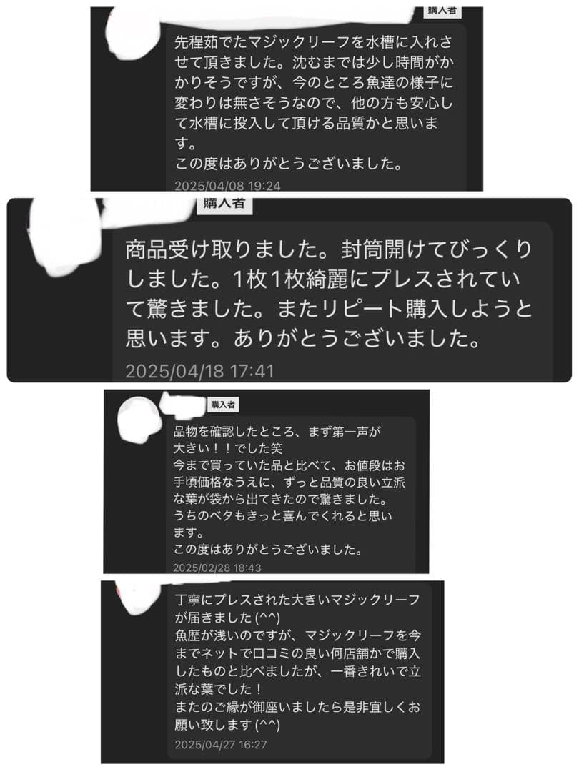 沖縄県やんばる産マジックリーフ 1kg UV殺菌灯照射済み⑤ 殺菌灯