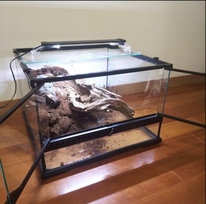 阿部麗華ページ