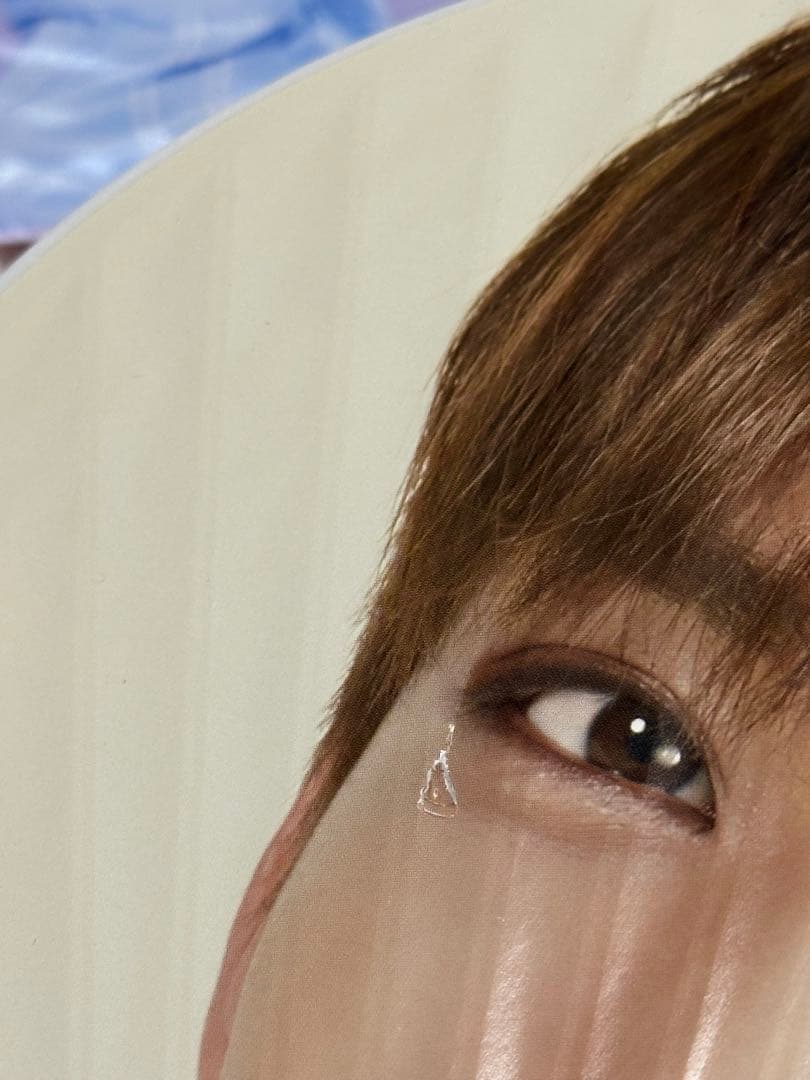 SEVENTEEN ジョシュア　うちわ　ハンガー　プレフォト　まとめ売り　30個