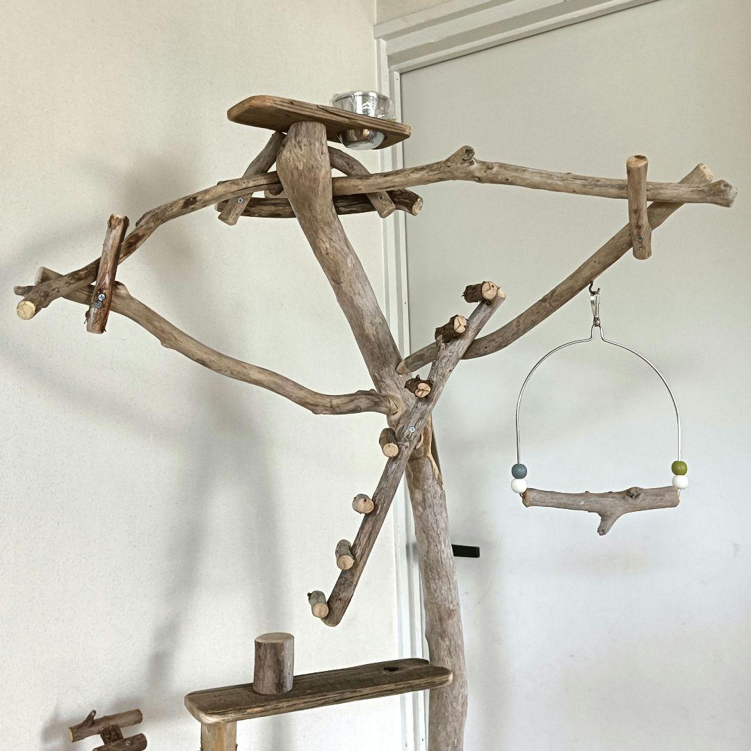 バードアスレチックジ厶 天然木 自然木 流木 インコ 止まり木 インコ