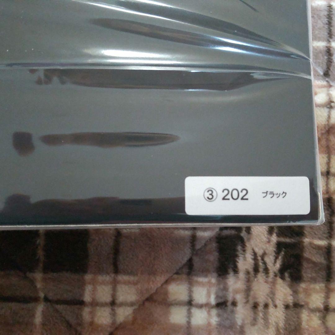 【新品・未開封】ランクル 250 ブラック カラーサンプル 1/30