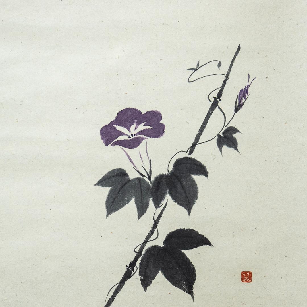 掛軸-1224 大徳寺 佐藤朴堂 賛 竹林 画 「露堂々」朝顔画賛 共箱