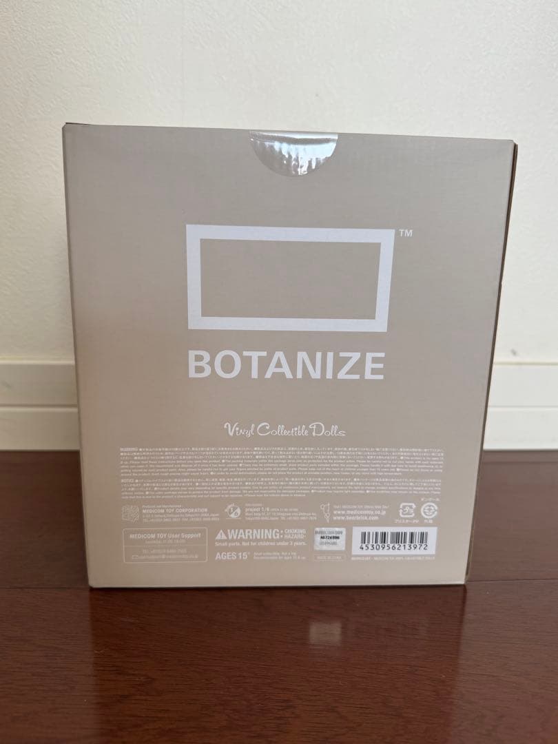 BOTANIZE VCD Euphorbia obesa 2個セット - メルカリ