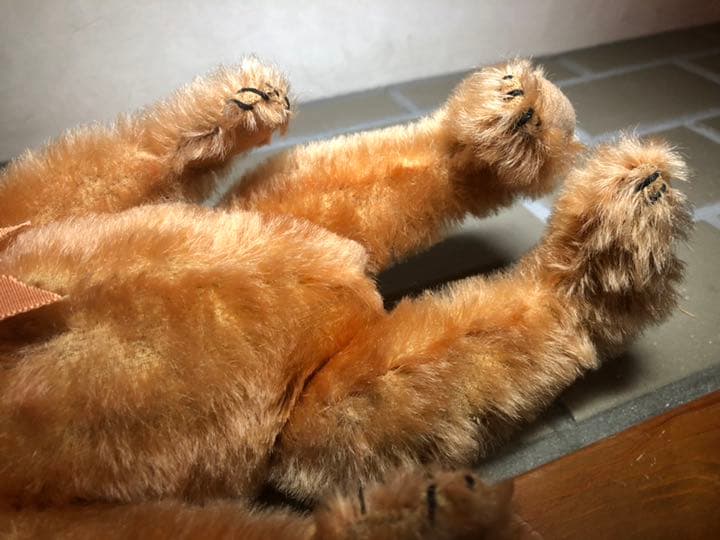 ブランク ボタン、シュタイフ 社アンティークテディベア、アプリコット