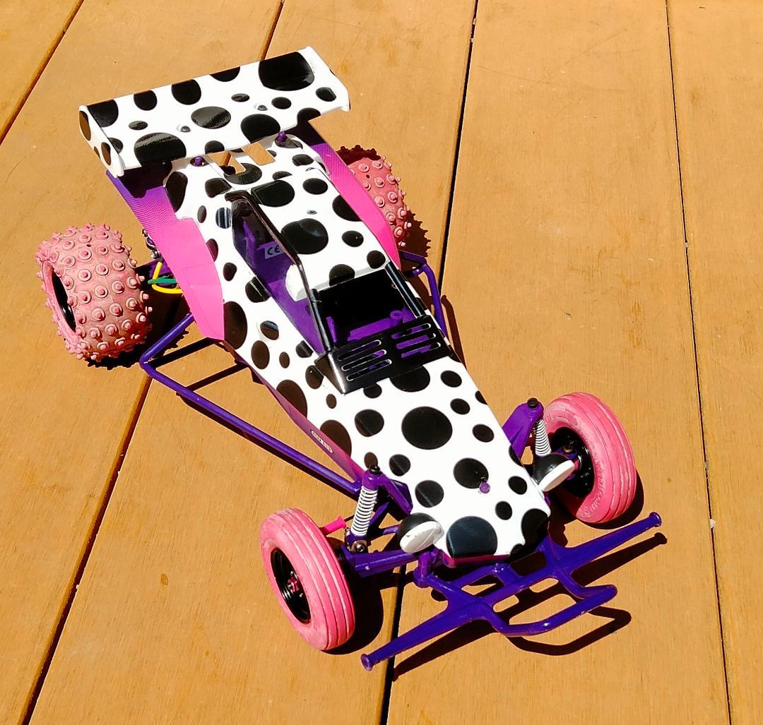 希少 タミヤ ホーネット by JUN WATANABE