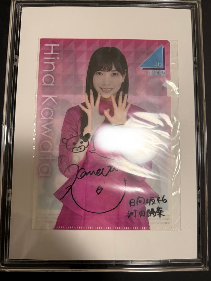 日向坂46 直筆サイン入り　クリアファイル