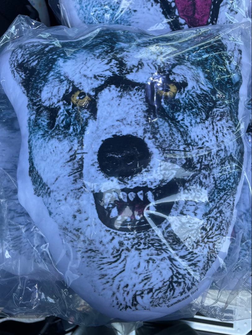 ⭐︎ tagapomu-_-様専用 ⭐︎クッションコンプ&マグネットセット