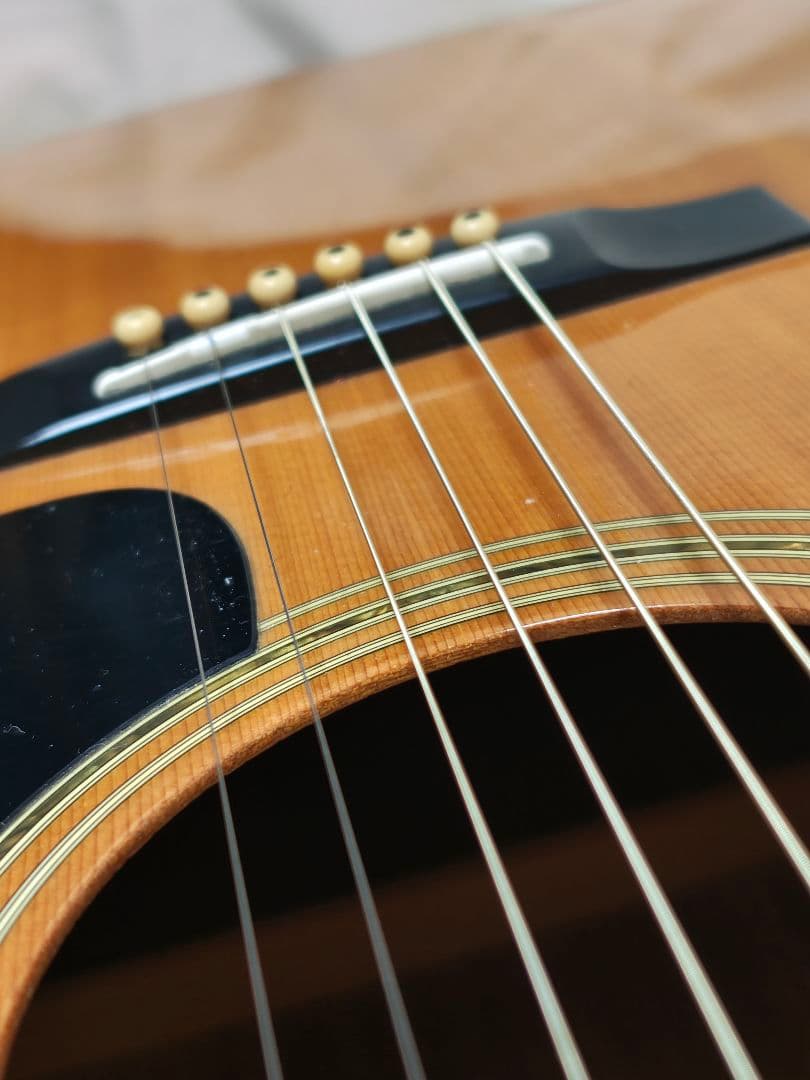 JAPANビンテージ/Vantage W-345/ギグケース付/美品 - メルカリ