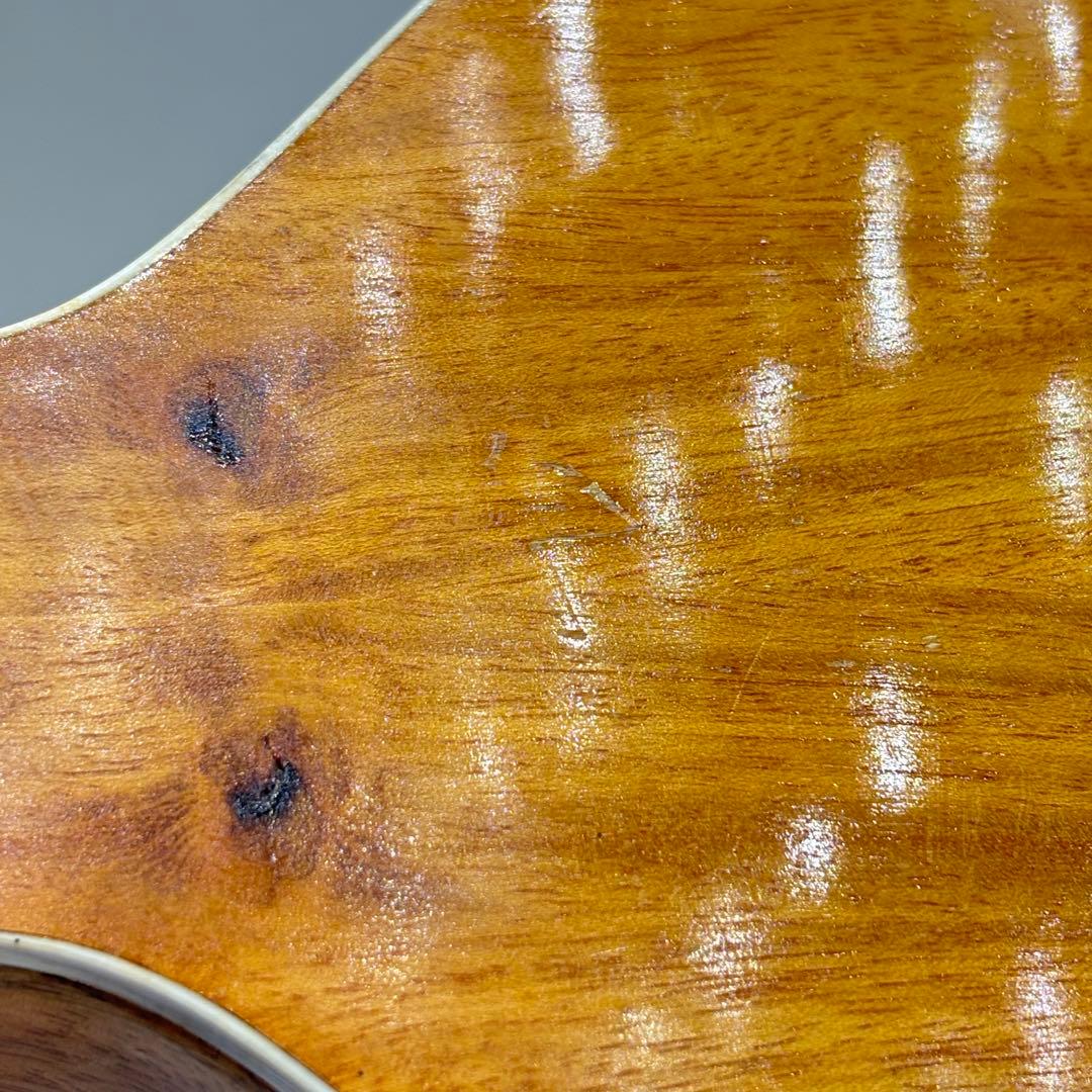 希少 バンドゥリア 小型 リュート属 12弦 撥弦楽器 スペイン ラテンアメリカ