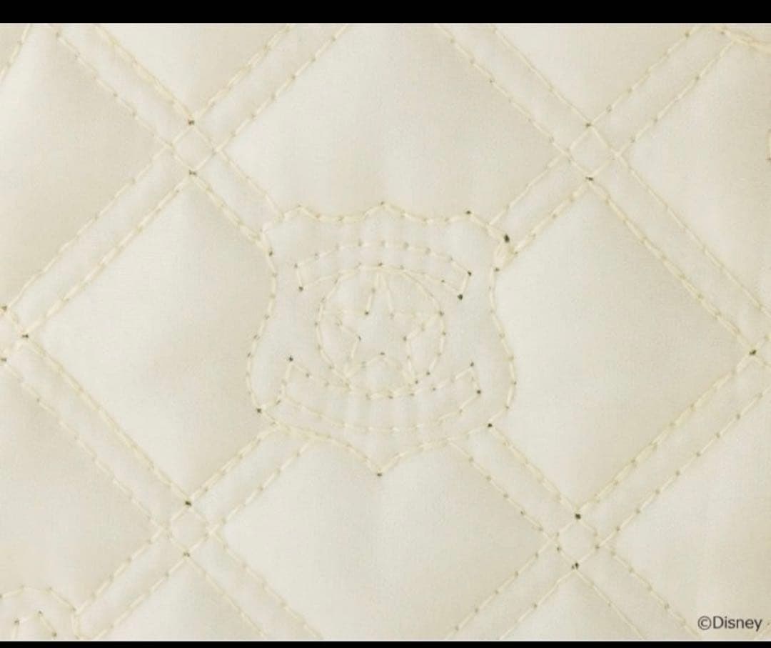 Disney ズートピア　Nick 2冊セット