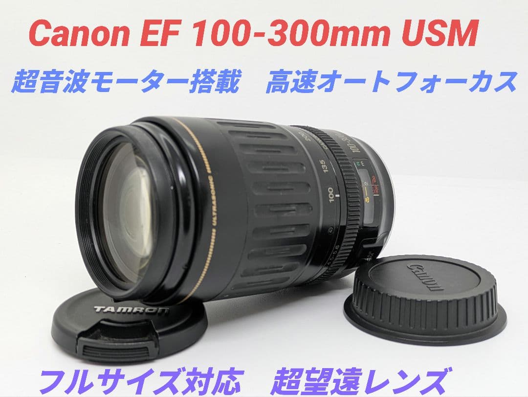 11月23日限定価格【超望遠レンズ】Canon EF 100-300mm USM