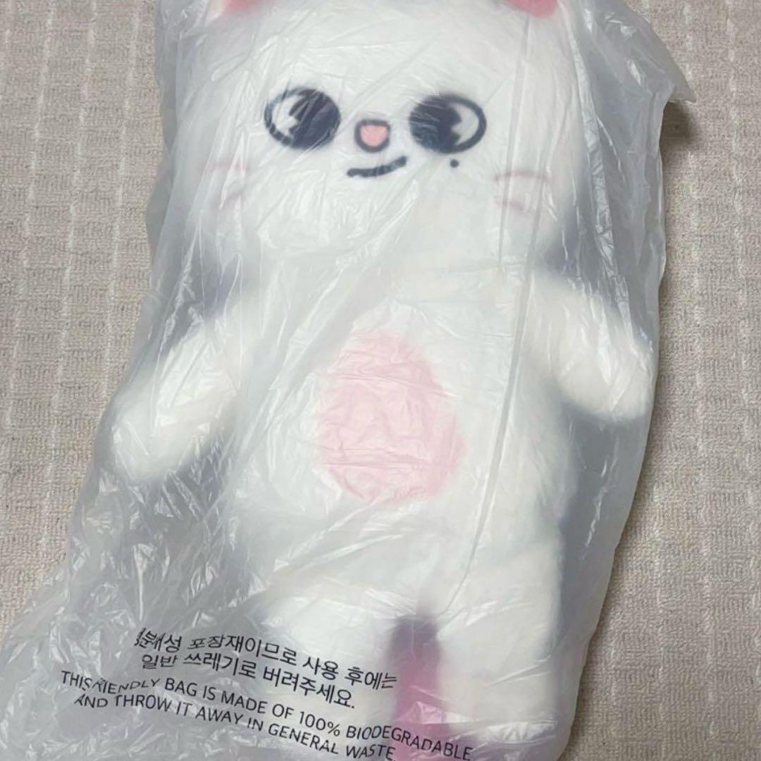 Stray Kids スキズ テディベア ぬいぐるみ SKZOO ジニレット