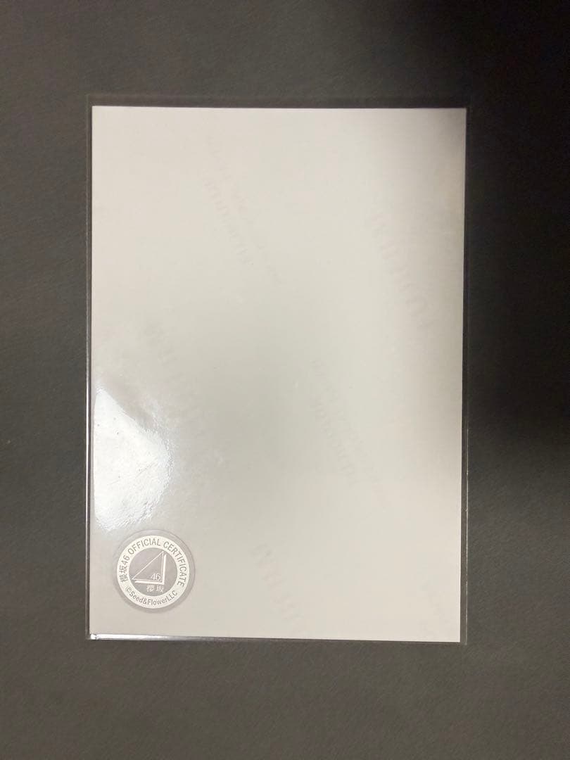 櫻坂46 森田ひかる 生写真 直筆 2024年 クリスマスサンタ衣装