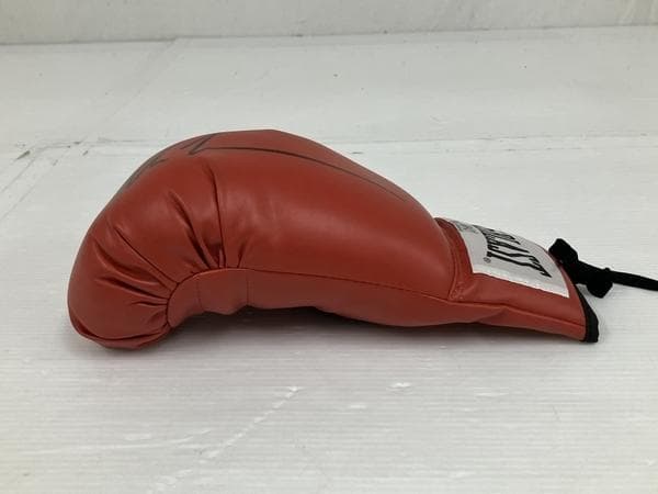 MIKE TYSON/マイクタイソン/直筆サイン入りボクシンググローブ/証明