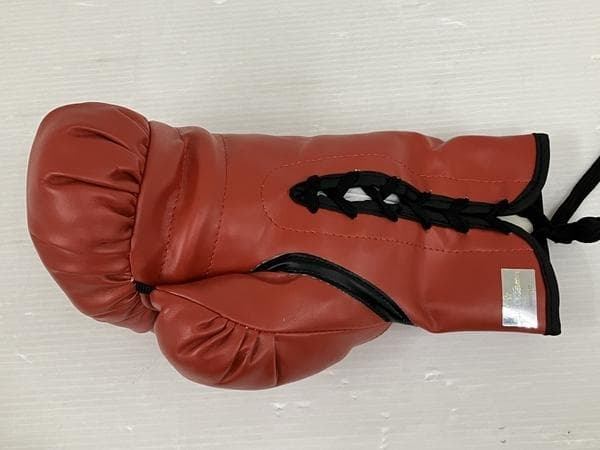 MIKE TYSON/マイクタイソン/直筆サイン入りボクシンググローブ/証明