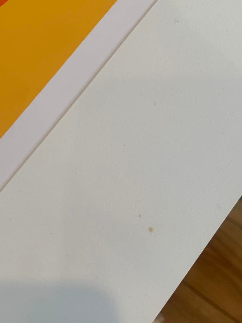 SHAG シャグ シルクスクリーン限定299枚 公式購入 シリアルナンバー