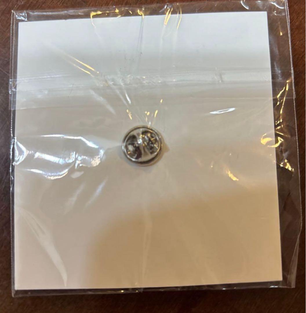 AO 全豪オープン × POLO RALPH LAUREN ピンバッジ 非売品 - メルカリ