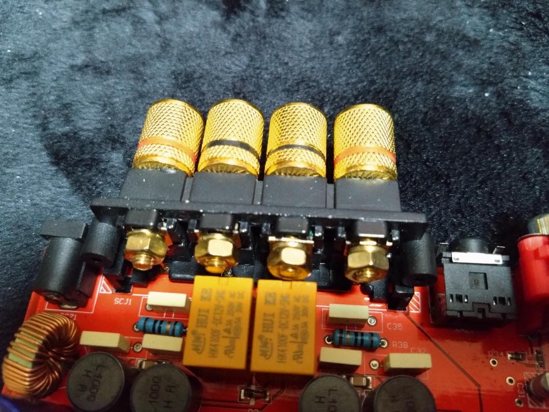 Lepai LP-2020A+ NFJストア別注モデル 第九ロット 改 Lepai LP-2020A+