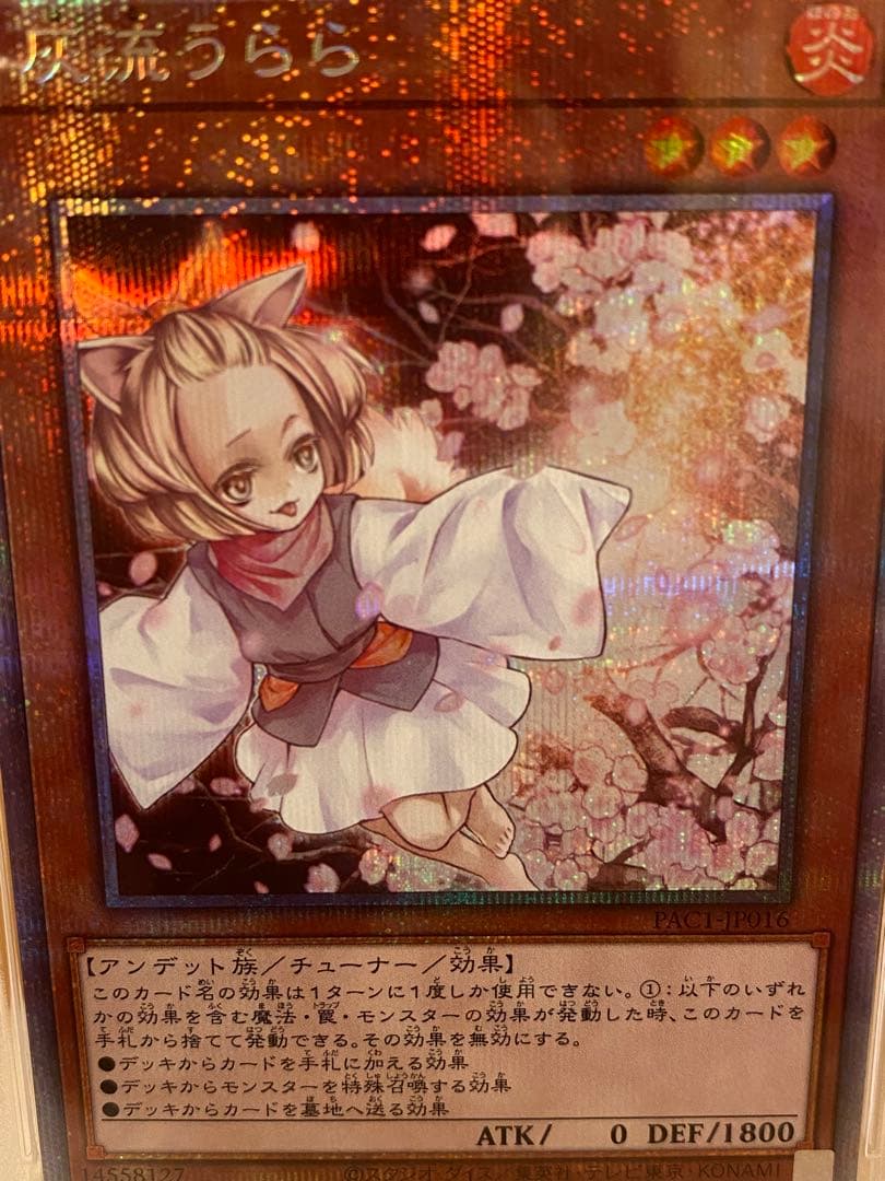 遊戯王 PSA10 灰流うららプリズマティックシークレットレア