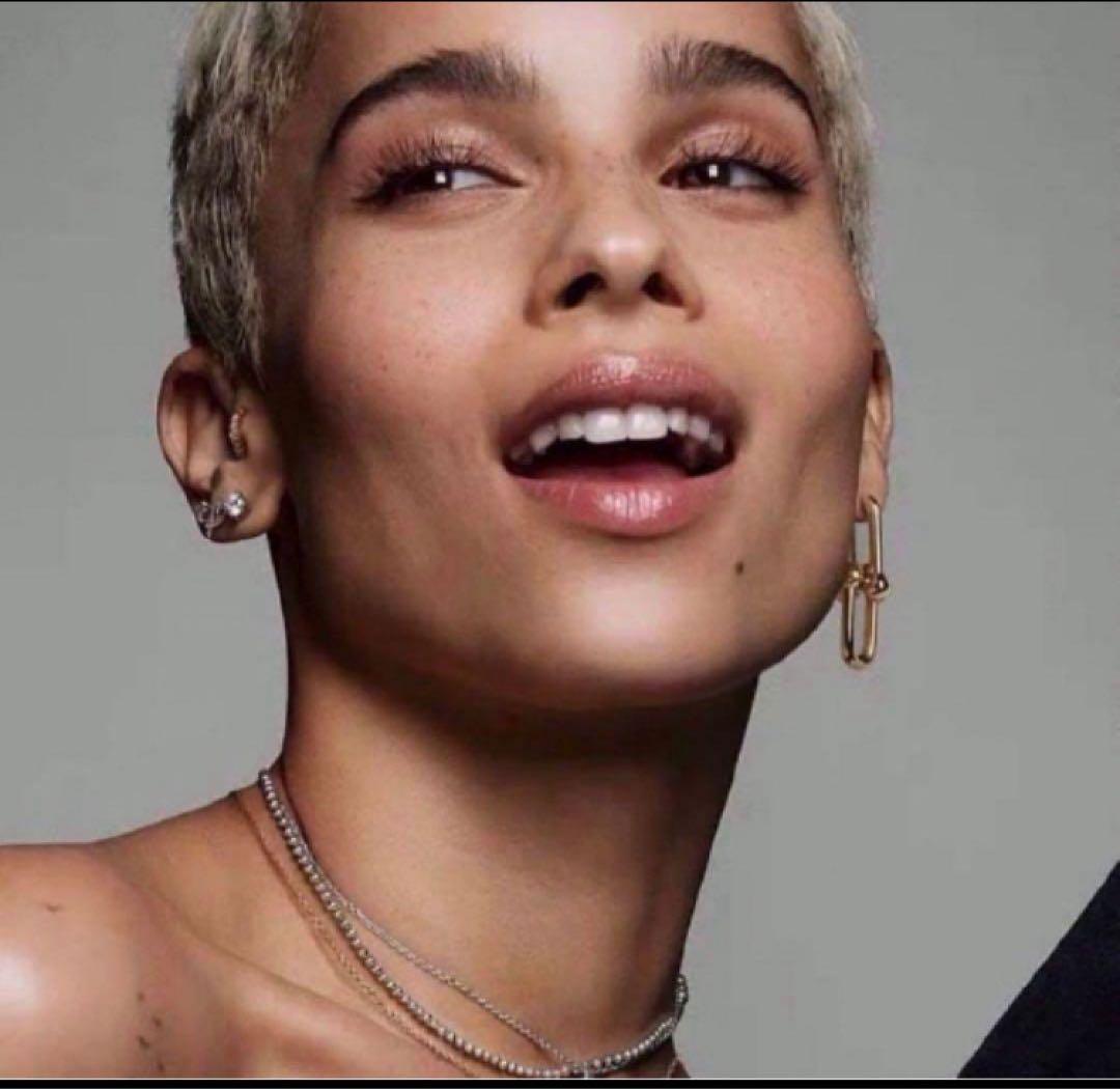 ✨ハイクオリティ✨ハードウェア モデル 海外セレブ ゴールド ピアス BIG！