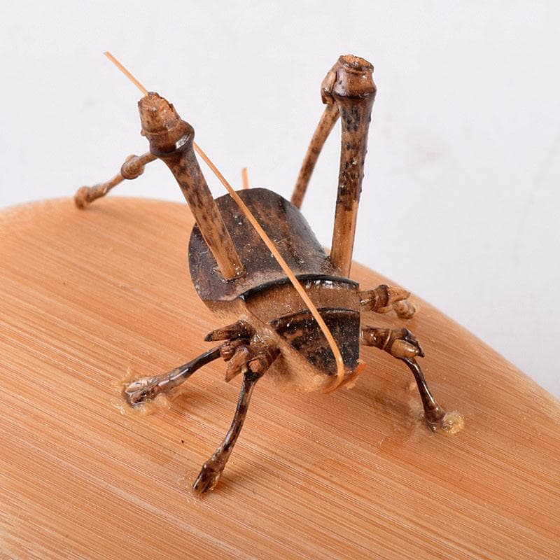 茶道具　加州木芸師　清水晃樹作　大名竹　福茄子香合　鈴虫付　共箱　V　8011