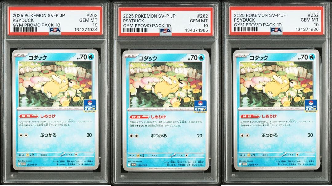 PSA10 コダック しめりけ 262/SV-P ジムプロモ 3枚セット - メルカリ