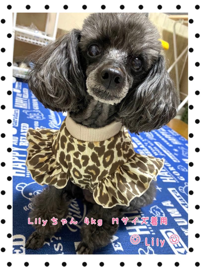 犬服 タンクトップ(M) ꒡̈⃝Lily꒡̈⃝ハンドメイド