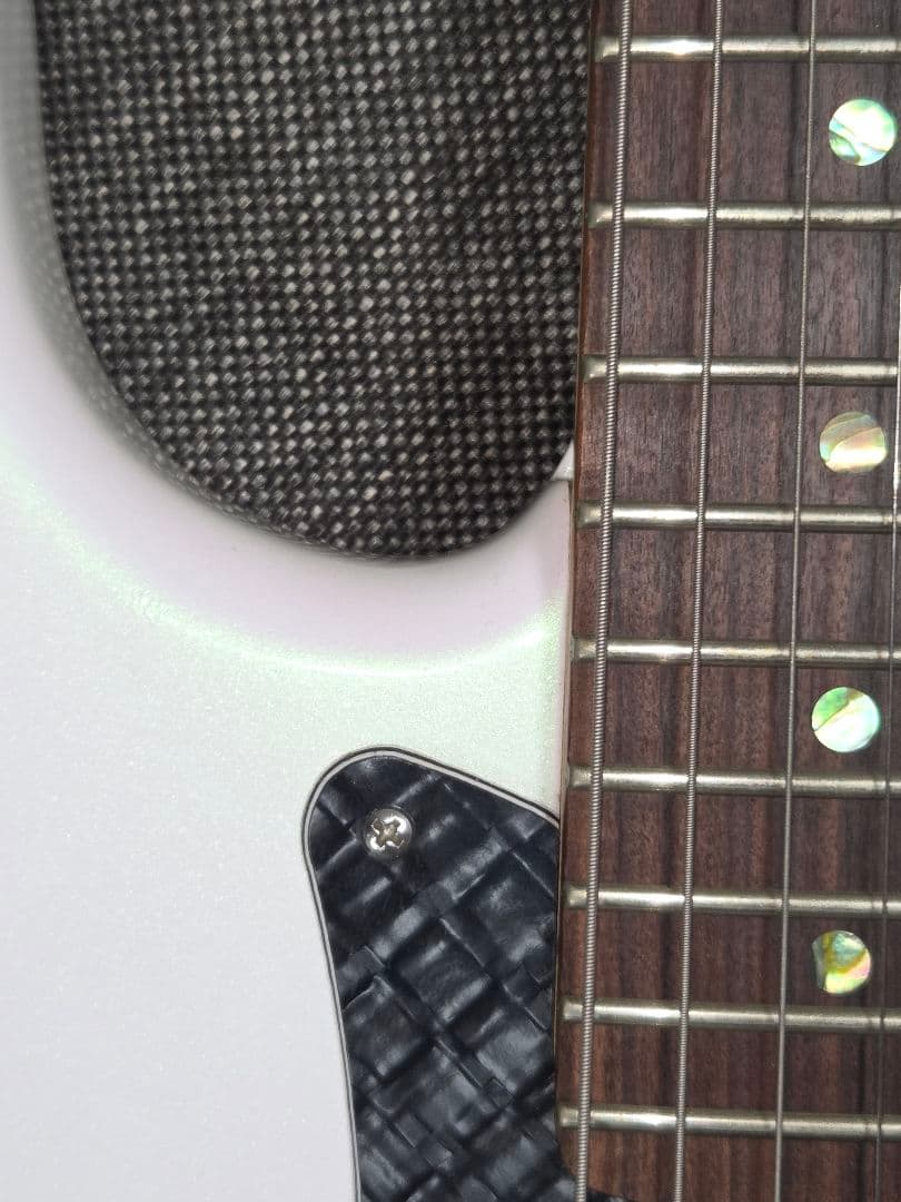 コンポーネントエレキギター T's Guitars USACG Fender