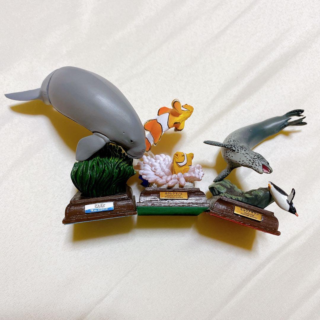 ネイチャーテクニカラー 鳥羽水族館 海洋堂 生物フィギュア - メルカリ