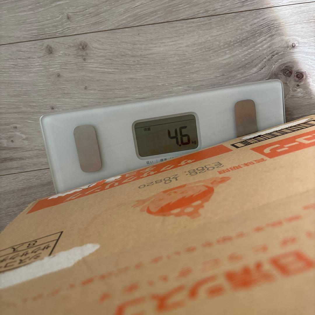 ノンジャンル　アニメグッズ　まとめ売り　4.6kg 約200点