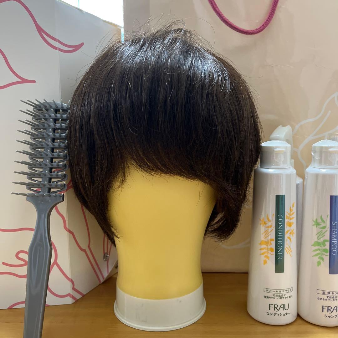 ⭐︎⭐︎ウィッグ　レディース　ショート　スヴェンソン　医療用