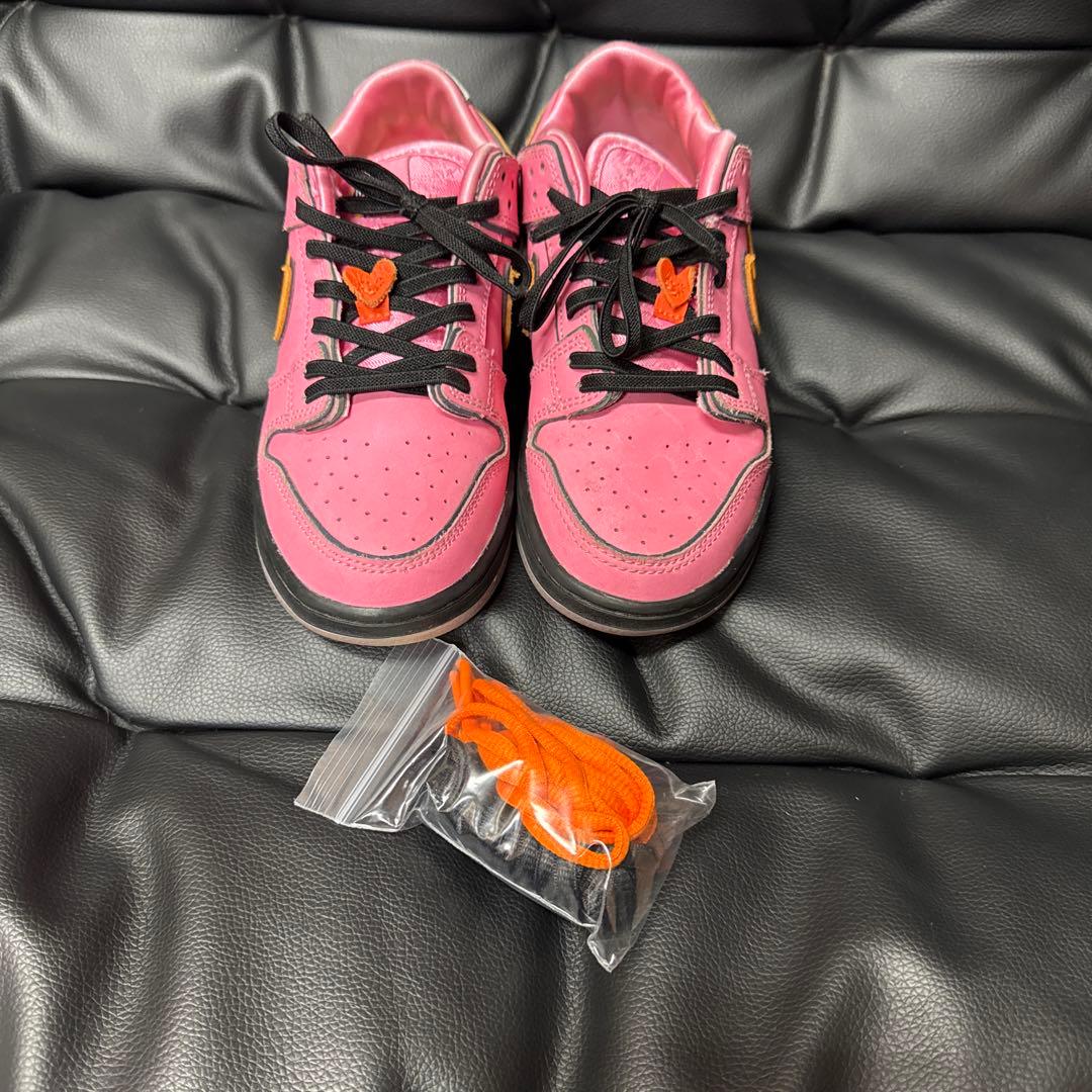 ※美品※ NIKE SB×パワーパフガールズ　22cm