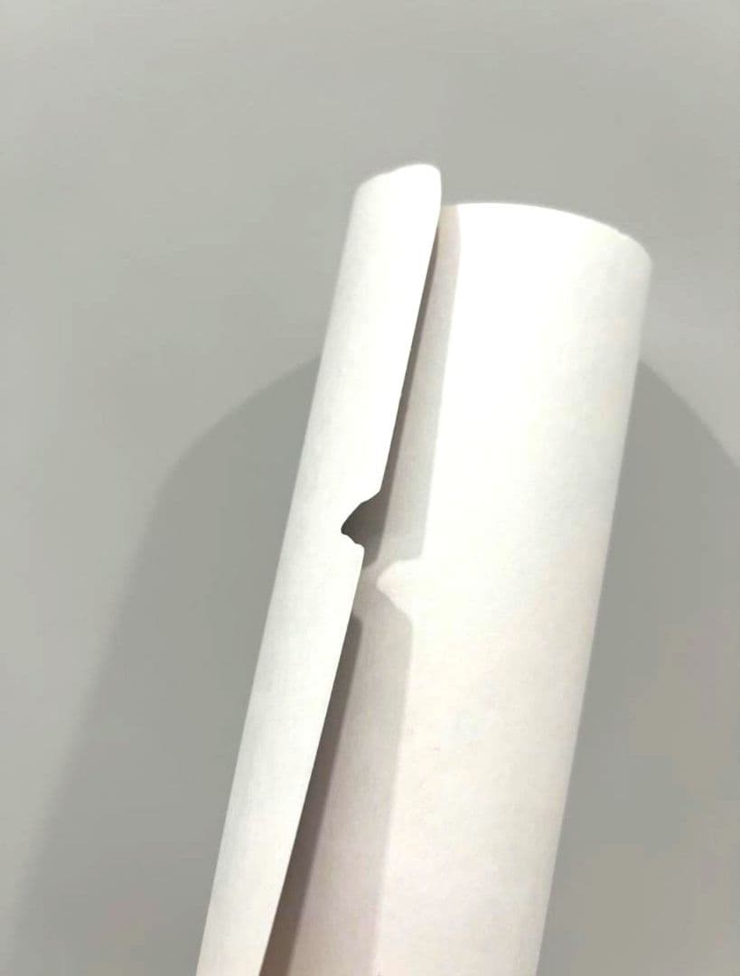 《希少連番品》風の谷ナウシカ 台湾限定ポスター No.09990