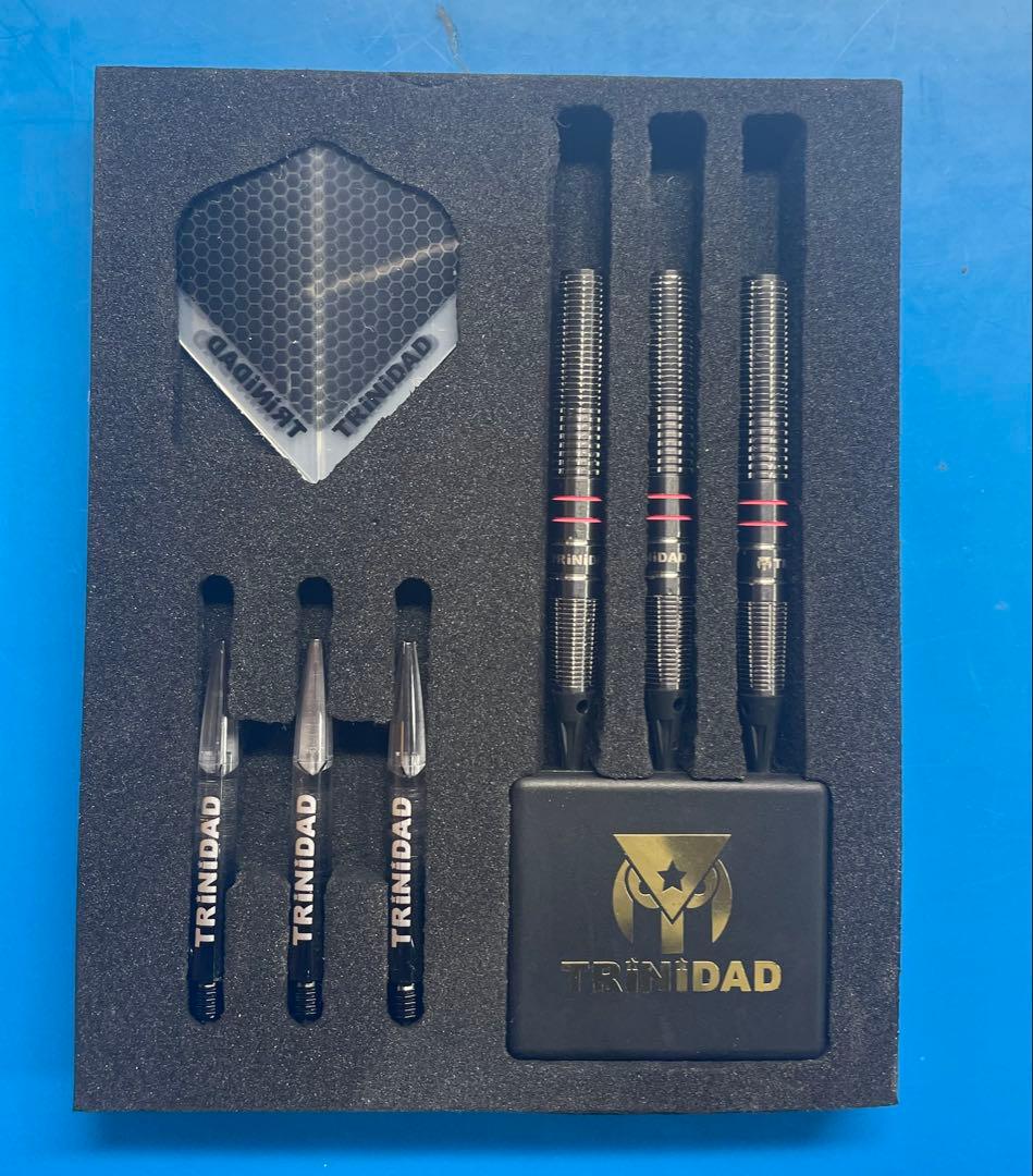 トリニダード プロ ヒューゴ　ダーツ