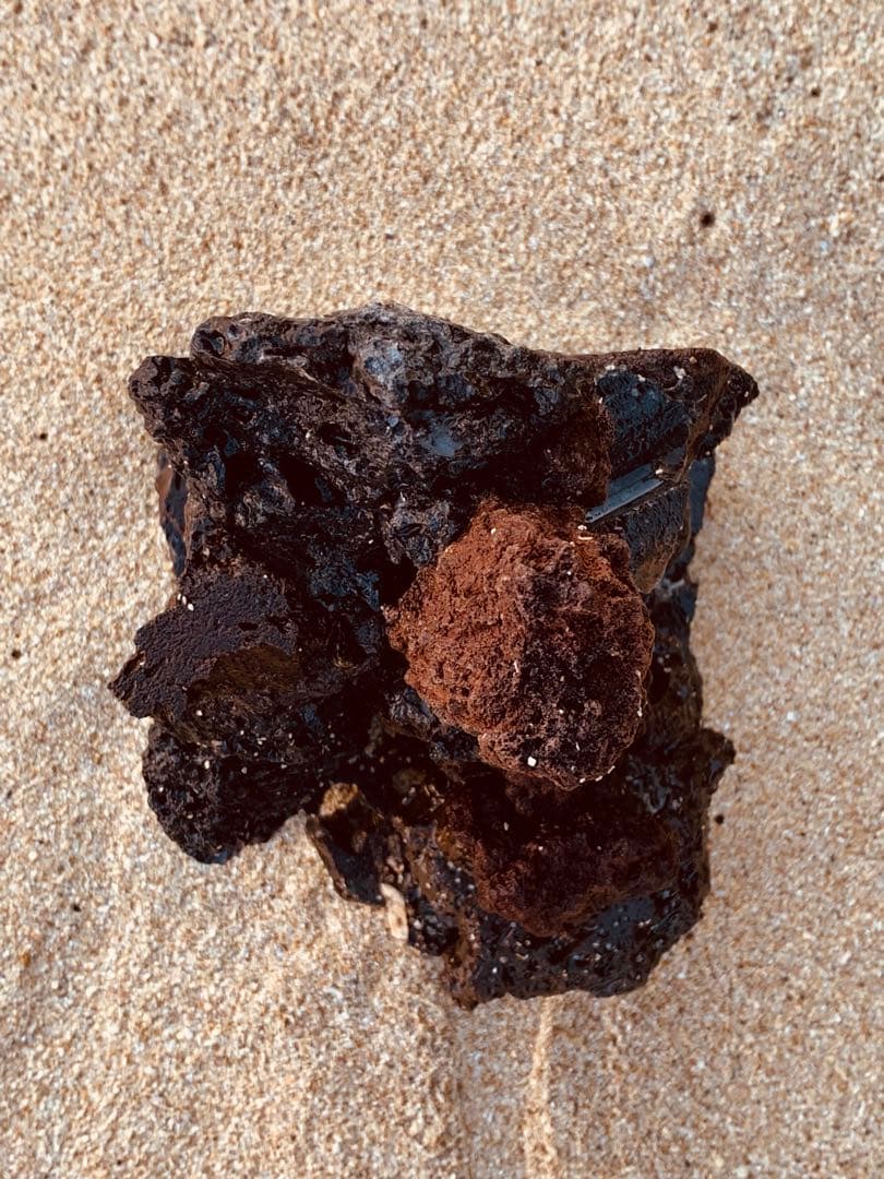 荒崎海岸デザイン溶岩ピクシーシュリンプ海水魚水槽溶岩石レイアウト濾過