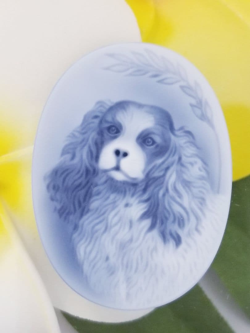 ムジョミ　カメオルース5枚