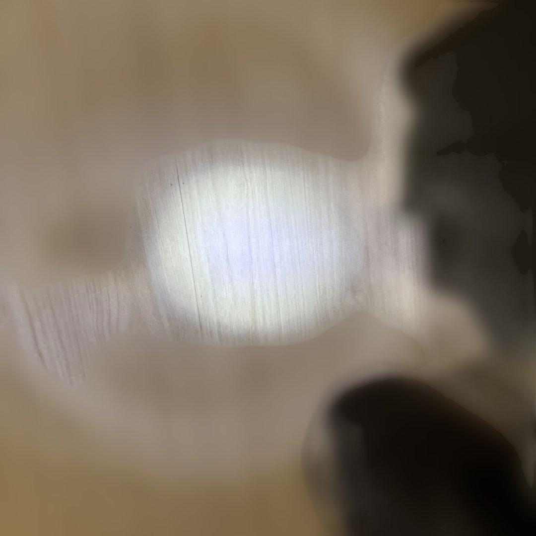 中々美品 東京マルイ シグ P226 RAIL E2 ステンレス シグ レイル