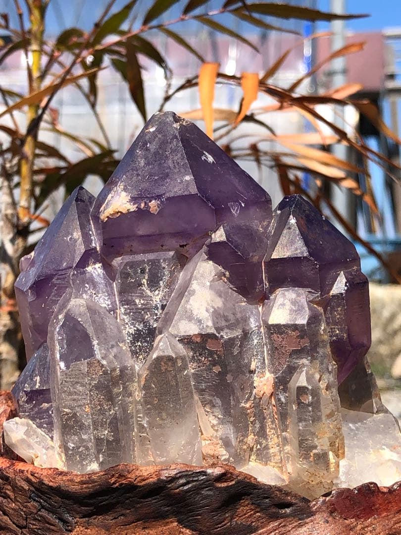 ❤️レア 天使のGIFT 極上 骸骨水晶 スモーキーエレスチャルクォーツ