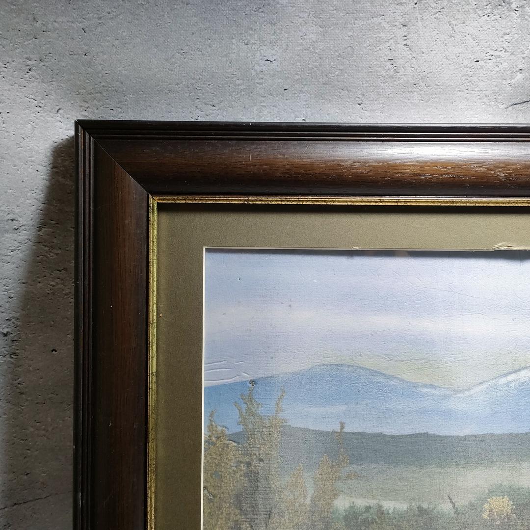 押し花専用額 押し花アート 不思議な花倶楽部 アルプス 風景