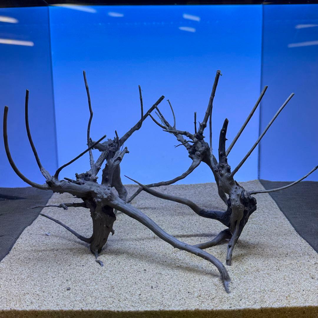 MDW-7277 ブランチウッド(ブラック)4本セット 枝流木 アクアリウム